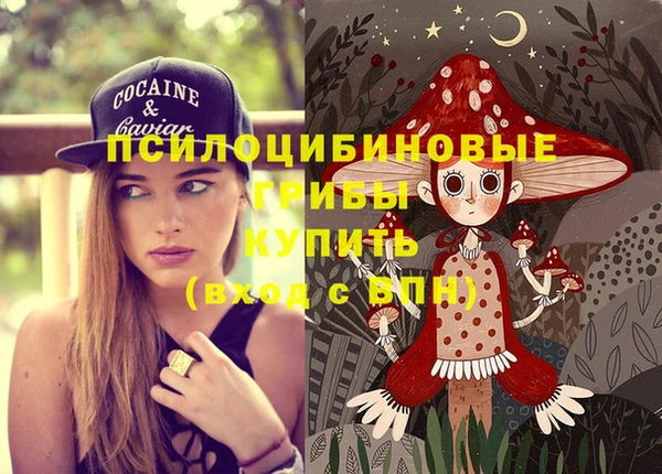 прущий лед Армянск