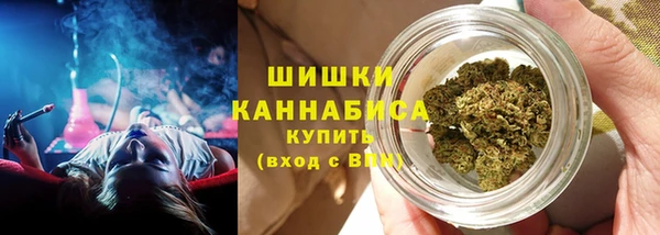 крисы Аркадак
